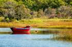 USA, Massachusetts, Cape Cod, West Harwich. A red dory moored in calm waters on the Herring River Coastal Print